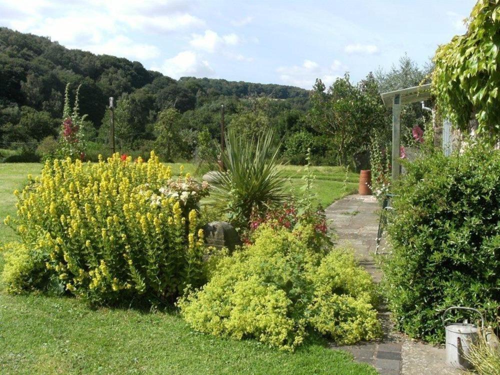 Villa The Piggery Woolaston Esterno foto